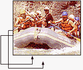 WS.gif (9492 bytes)