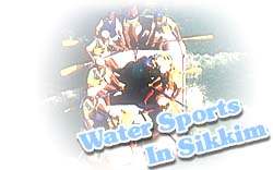 sikkim-water.jpg (6632 bytes)