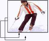 snow-skiing.gif (5027 bytes)