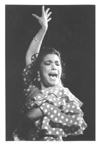 flamenco singer