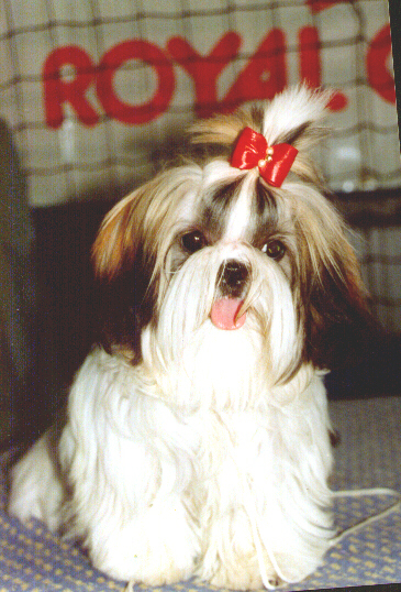 pizca