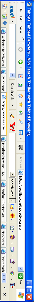 Internet Explorer 6 that has the add-on MSN Search Toolbar with tabbed browsing installed
