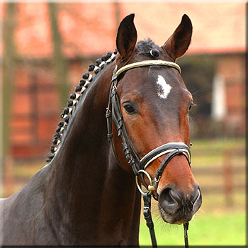 © Klosterhof Medingen