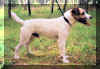 barry2.jpg (36651 tavu(a))
