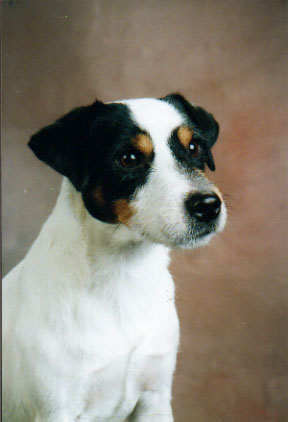 flynn