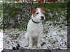 nelli.jpg (8632 tavu(a))