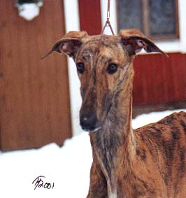 Nia at 8 months