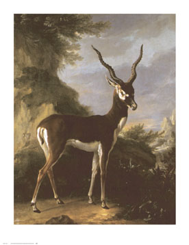 [ Sieban in his animal form ]