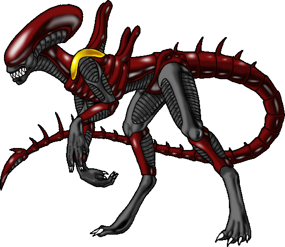 [ Red-black Neektee; image &copy; Dracothrope of SCD ]