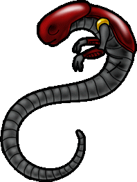 [ Red-black Neektee, female hatchling xeno-Hathian burster; image &copy; Dracothrope of SCD ]