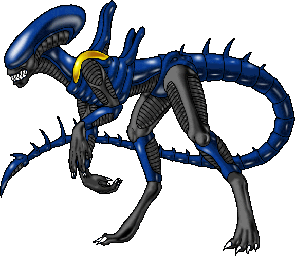 [ Blue-black Rass; image © Dracothrope of SCD ]