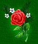 God protect the innocent victims of war