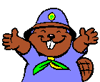 Beaver