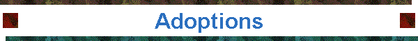 Adoptions