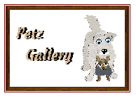 Petz Gallery Homepage