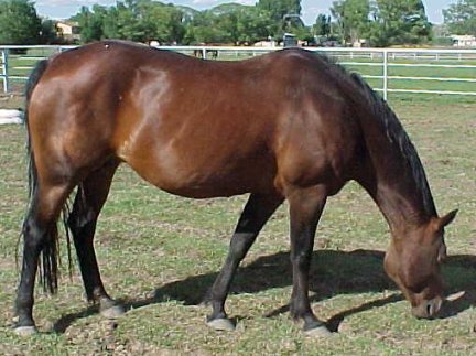 cutie1.jpg (42670 bytes)