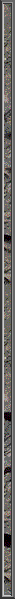 WB01682_.gif (1926 bytes)