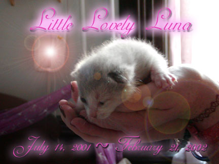 We'll miss you baby girl...