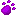 purplepaw.gif (128 bytes)