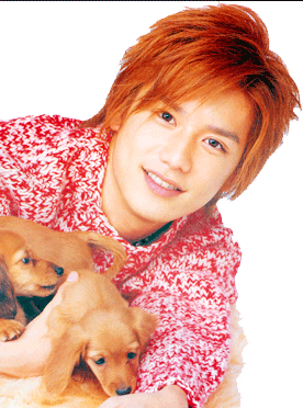 ����ѡ����