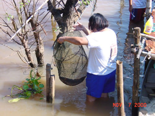 Ayutthaya26