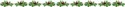 holly-bar01.gif
4.62 KB 
