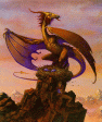 Dragon10