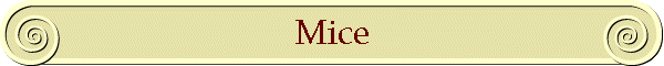 Mice