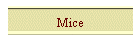Mice