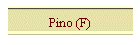 Pino (F)