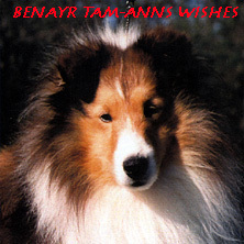Benayr Tam-Ann's Wishes