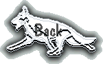 gsdback.gif (4994 bytes)