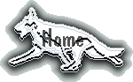 gsdhome.gif (5012 bytes)