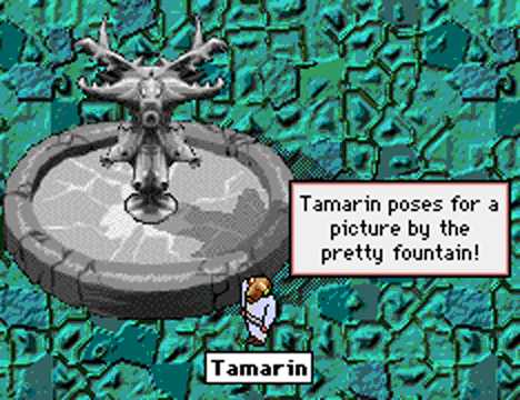 Tamarin standing by a fountain