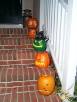The Pumpkin Patch