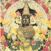 kushmandini