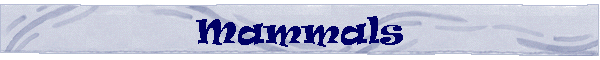 Mammals