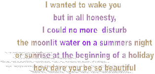 I wanted to wake you 
but in all honesty,
I could no more  disturb
the moonlit water on a summers night
or sunrise at the beginning of a holiday
how dare you be so beautiful