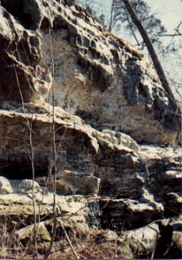 Cliffs at Giant City State Park, in southern Illinois.