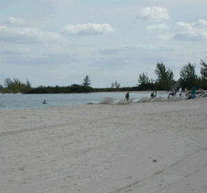 Passion Beach at Cozymel