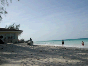 Amazing Beach and Surf; But Watch Out for Those Big Waves!