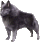 skipbanner.gif (1975 bytes)