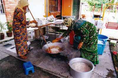 Preparations
