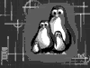 PenguinZ