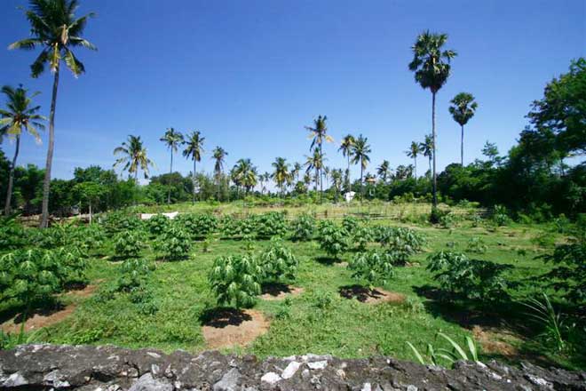 Real Estate and Property land for sale beachfront Meninting area Lombok Indonesia