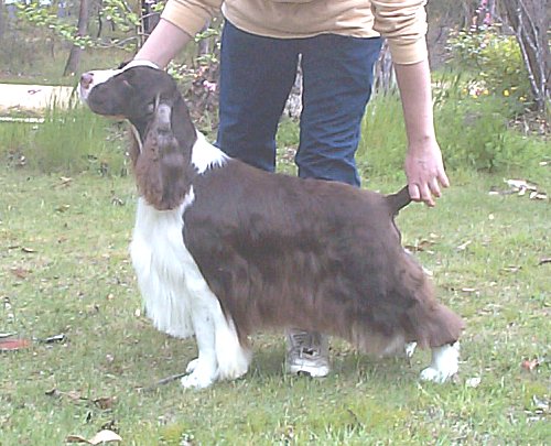 BRUCE AT 3 years