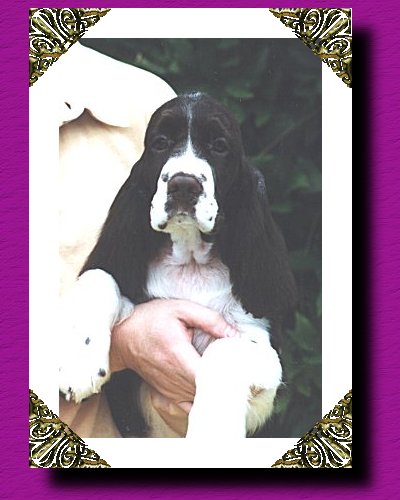 MIMI AT 12 WEEKS