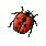 ҹͧѴ