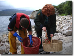 Anne Selecting Lobsters
