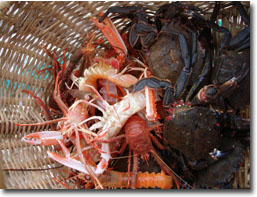 Lobsters
